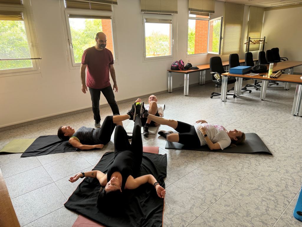 Activitat de Vèrtebres