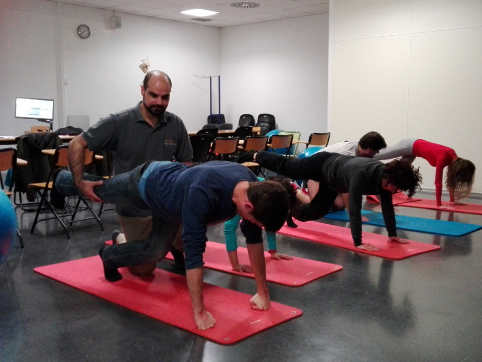 Taller d'anatomia