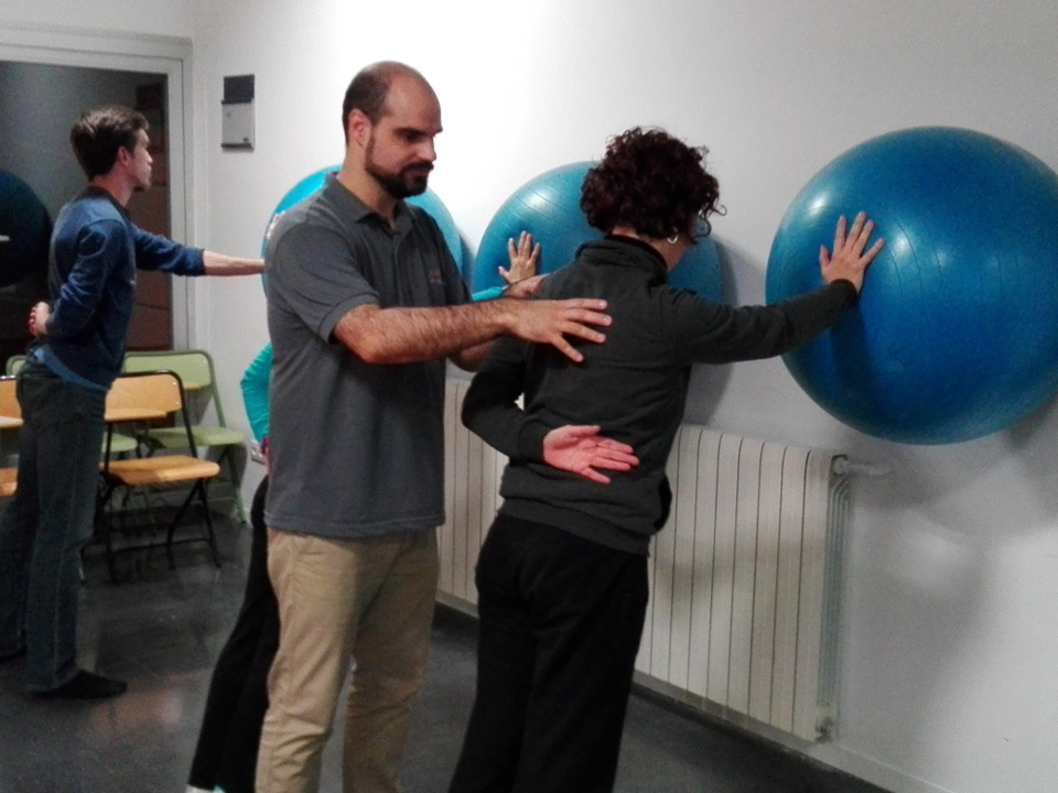 Taller d'anatomia
